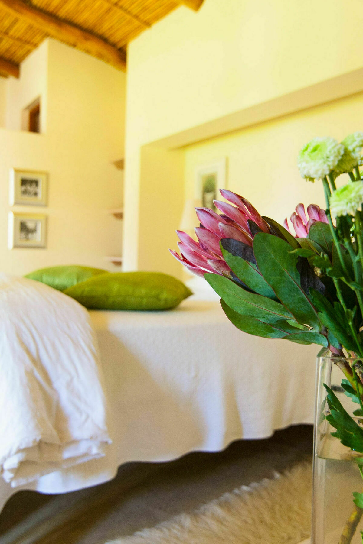 Babette Bed And Breakfast Свелендам Екстериор снимка